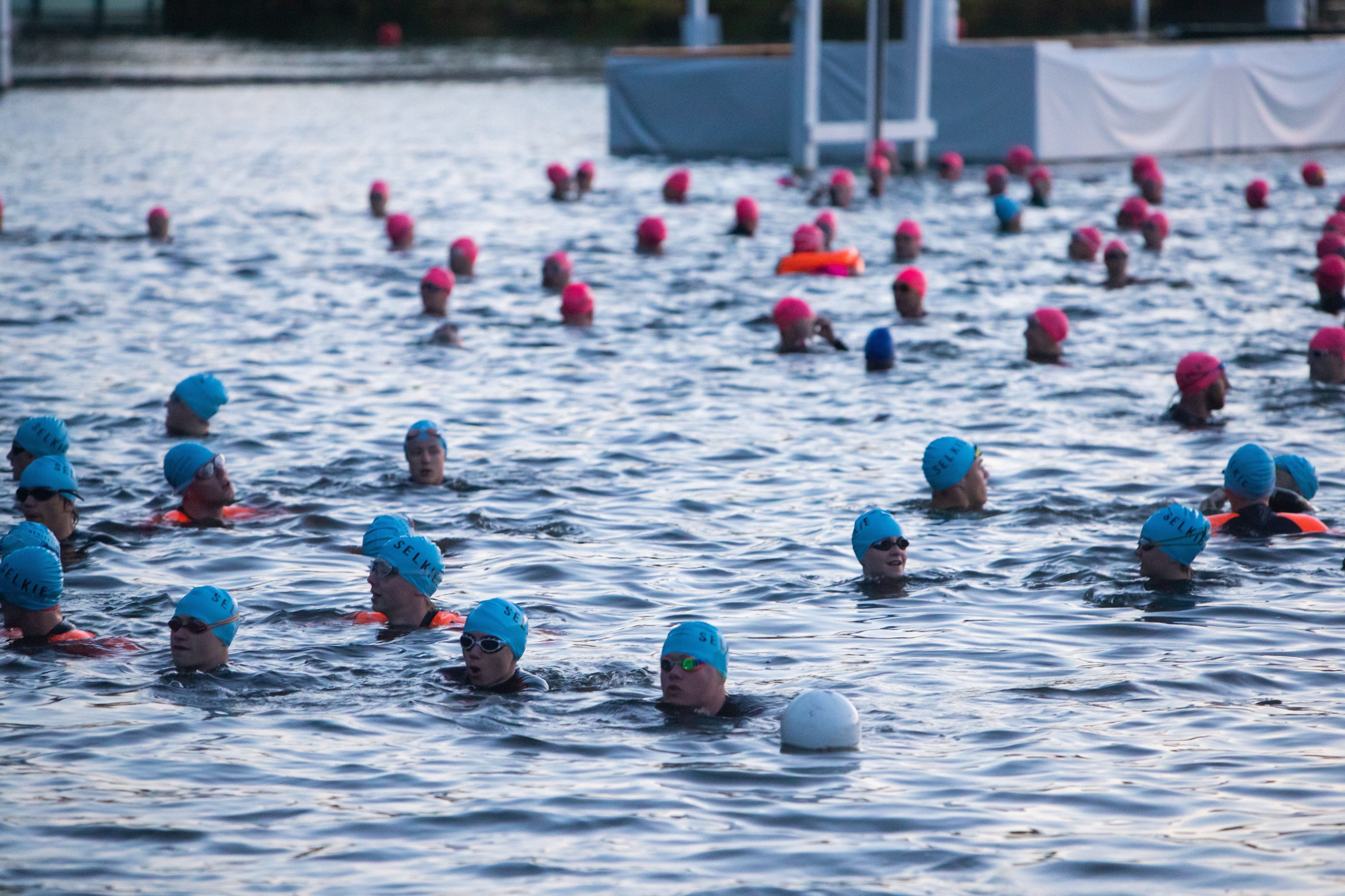 henley classic | River Thames swimming